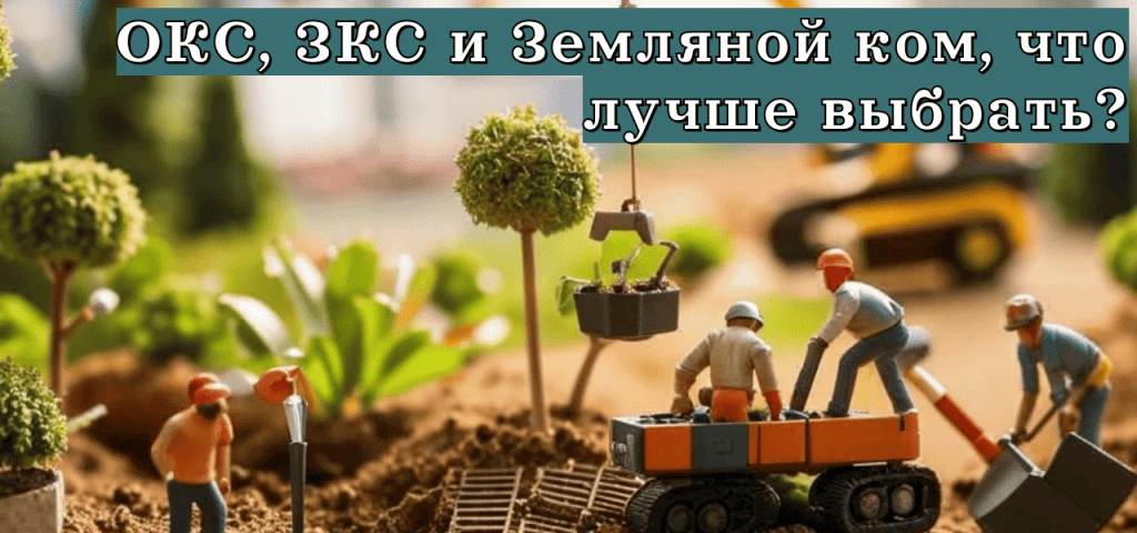 Подробнее о статье ОКС, ЗКС и Земляной ком, что лучше выбрать?