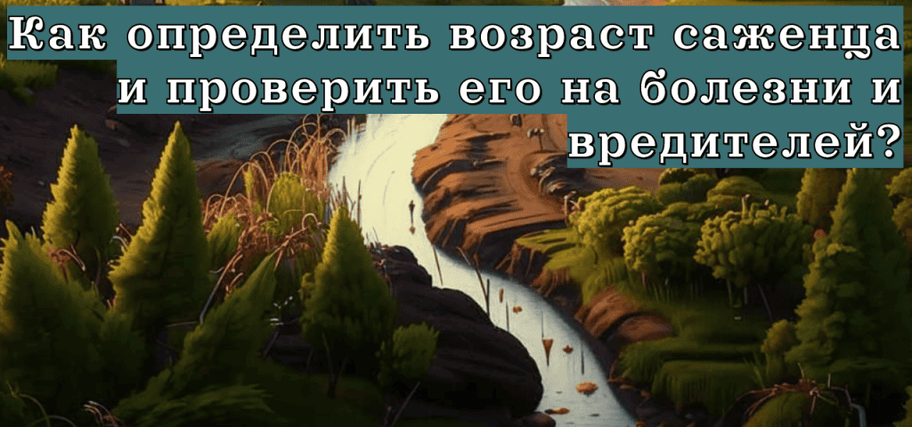 Подробнее о статье Как узнать возраст саженца, нет ли на нём болезней и вредителей. Советы от питомника Зелёное наследие.
