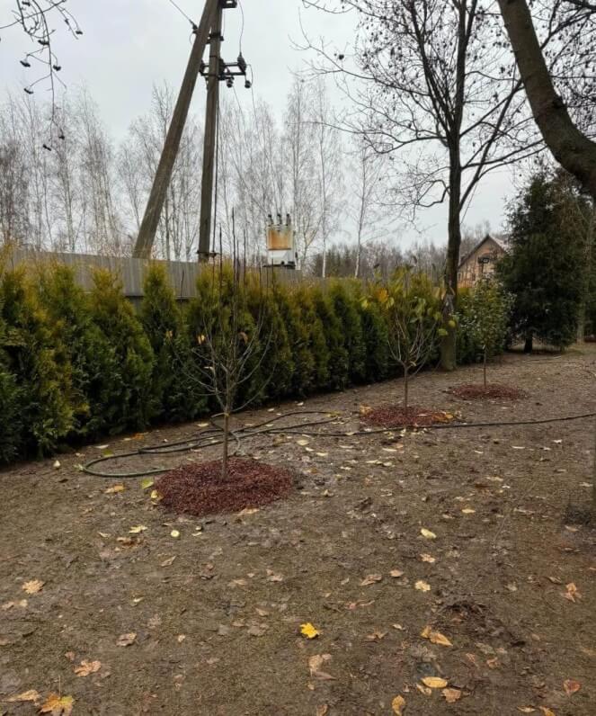 КП «Малышево»